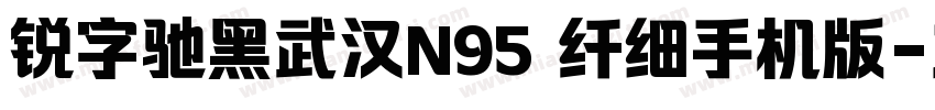 锐字驰黑武汉N95 纤细手机版字体转换